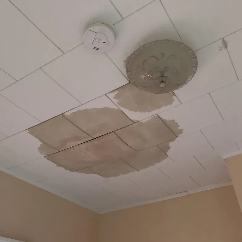 Ceiling Water Damage Repair in Los Llanos, PR