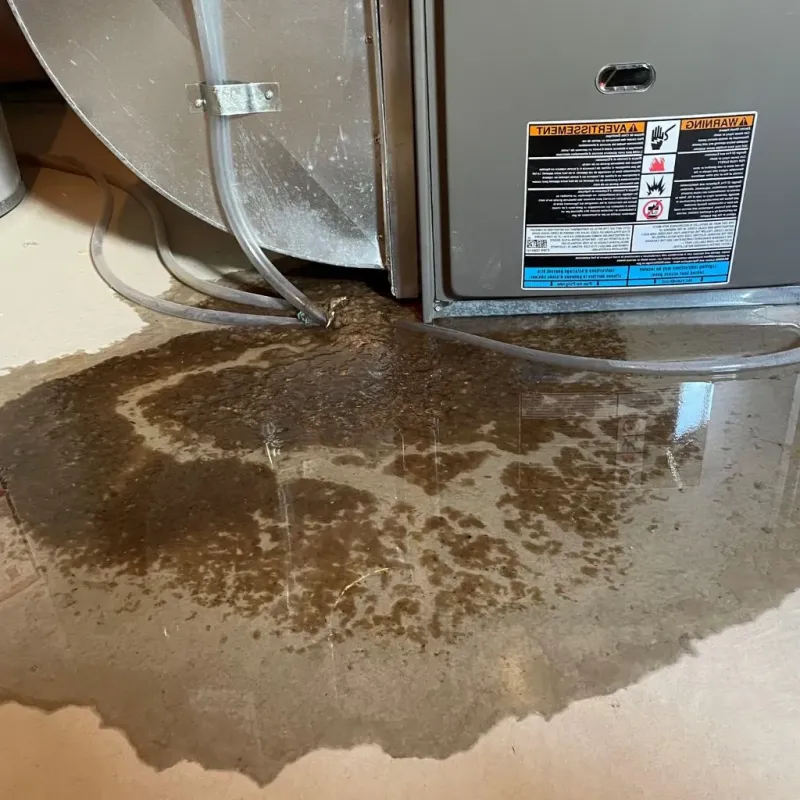 Pipe Burst and Leak Restoration in Los Llanos, PR
