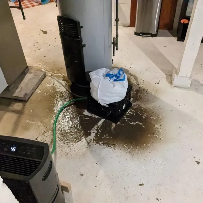 Sewage Backup Cleanup Service in Los Llanos, PR